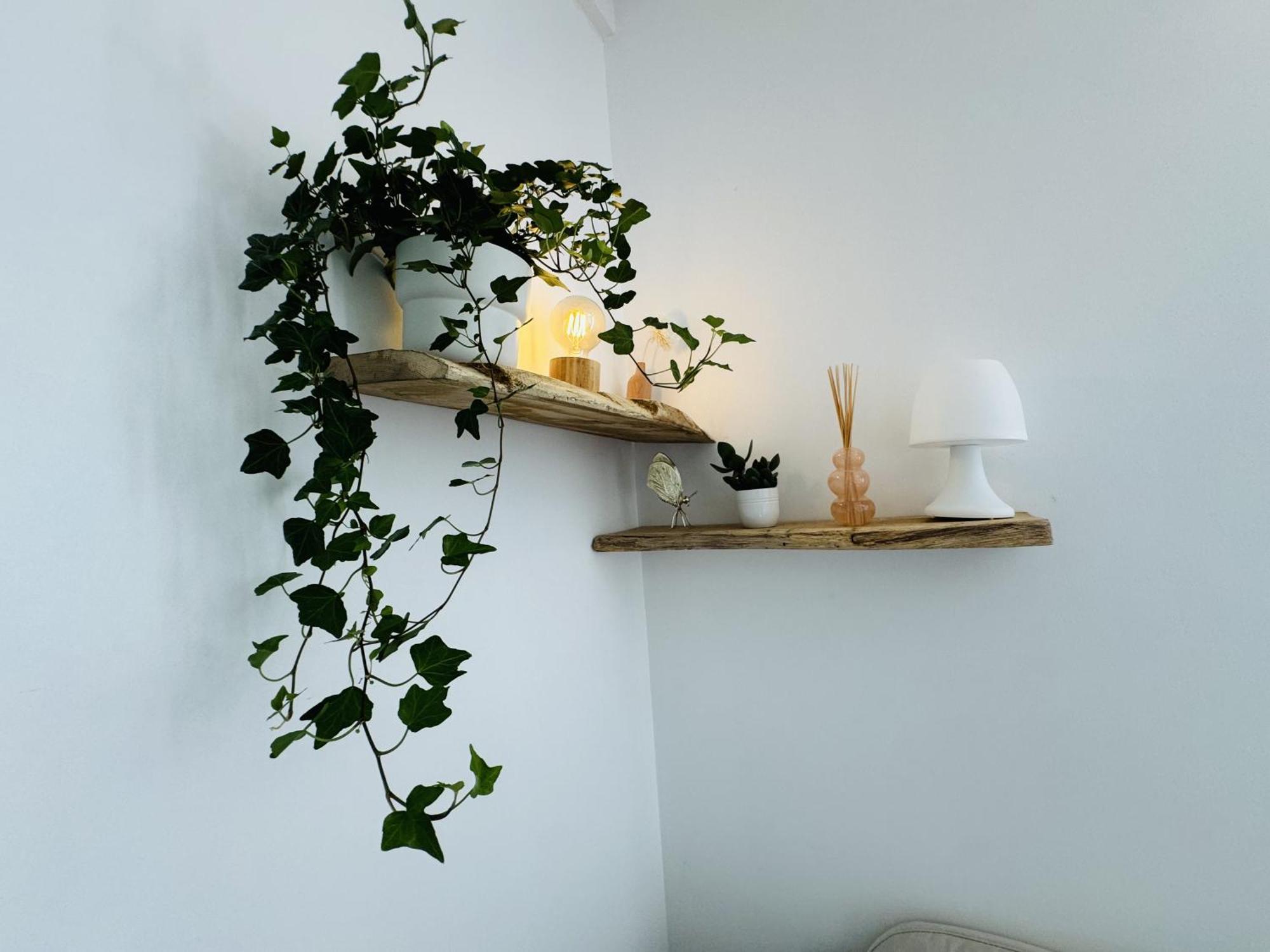 Le Piccolo - Appartement Cosy - Wifi Bègles Exteriör bild